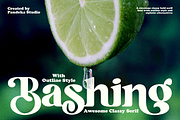 Bashing - Retro Swash Font, a Serif Font by Pandeka Studio (Thumbnail 1 of 13)