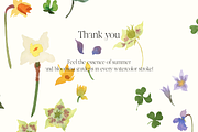 Watercolor flowers, a Pattern Graphic by NKTN (Thumbnail 15 of 15)
