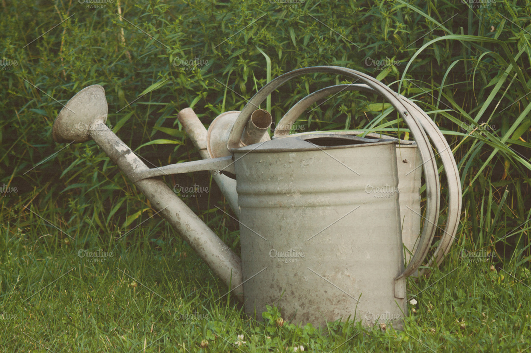 Garden watering can photo featuring garden, watering, and can