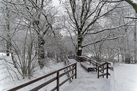 Wooden pedestrian bridge in the park.