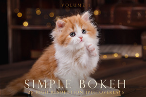 Simple Bokeh Photoshop Overlays