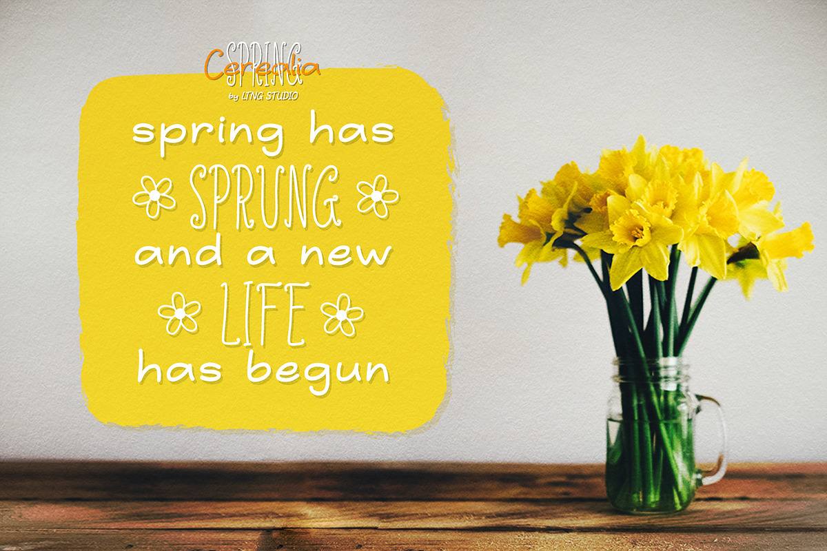 Cerealia Spring Handwritten Font Duo, a Handwritten Font by LTNG STUDIO (Photo 2 of 8)