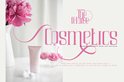 Air Leving, a Serif Font by Bramcreative (Thumbnail 4 of 10)