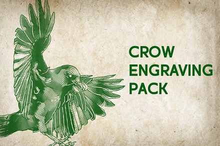 Crow Illustration Engraving Pack