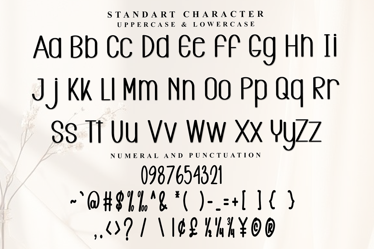 Delight Alphabet, a Serif Font by FreshTypeINK (Photo 4 of 7)
