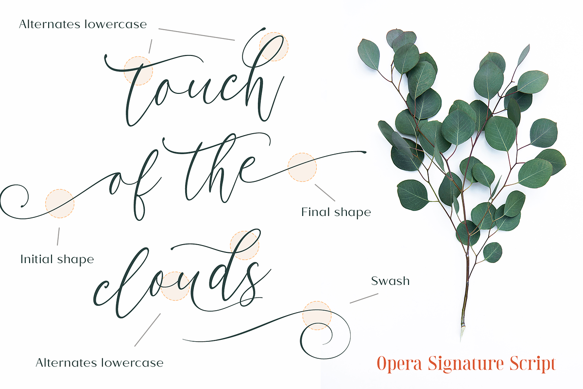 Opera Signature | Font Duo, a Serif Font by Larin Type Co. (Photo 6 of 15)