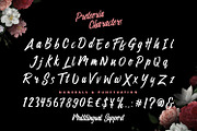 Preteoria Script, a Script Font by edukka (Thumbnail 2 of 10)