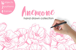 Anemone. Hand Drawn Flower Set