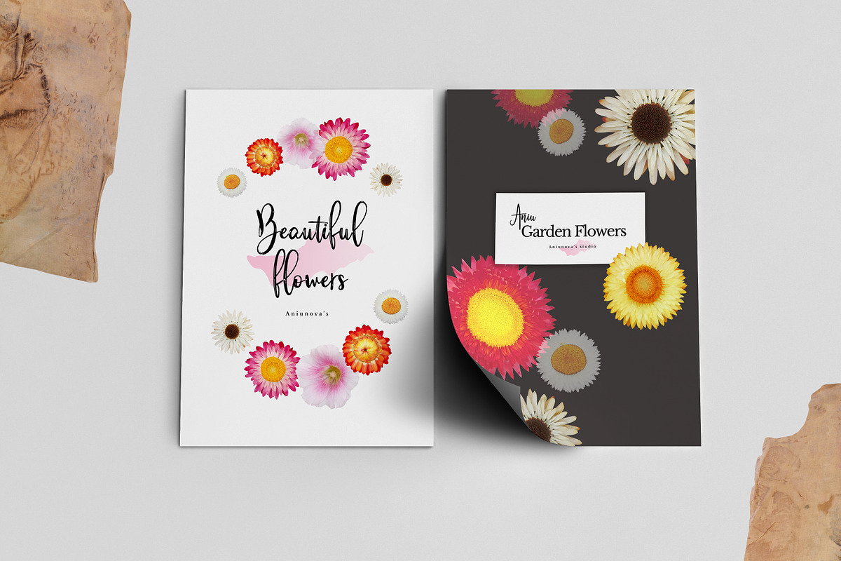 Die-cut Real Flowers, a Nature Photo by aniunova (Photo 3 of 4)
