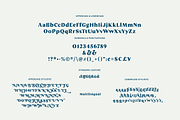 Brume Font, a Serif Font by creativemedialab (Thumbnail 12 of 12)