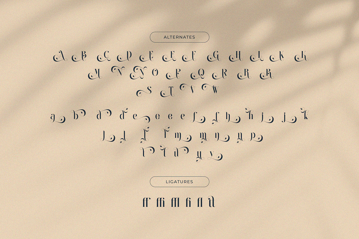 Raintop – Elegant & Stylish Serif, a Serif Font by BrandSemut (Photo 10 of 10)