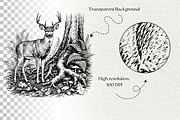 Woodland Deer Engraving Graphics, an Animal Illustration by DENIDigitalArtSudio (Thumbnail 7 of 7)
