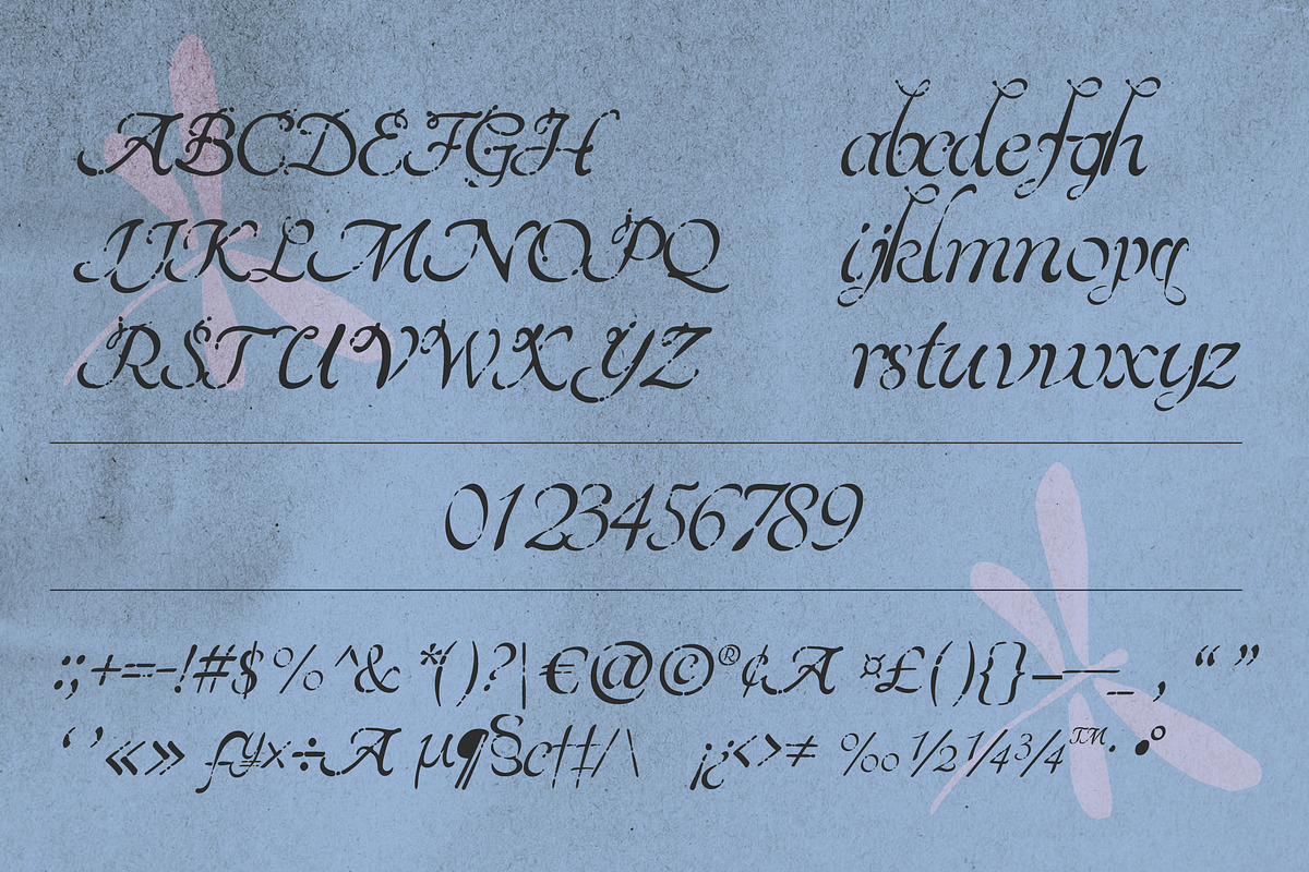 Kleiro - Chamber Calligraphy Script, a Script Font by riff.type (Photo 3 of 10)