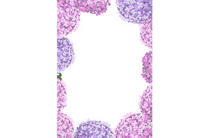 Hydrangea flower frame. Hand drawn