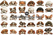 Breeds of Peeking Dogs New Clipart, a Seasonal Illustration by Designworld (Thumbnail 1 of 10)