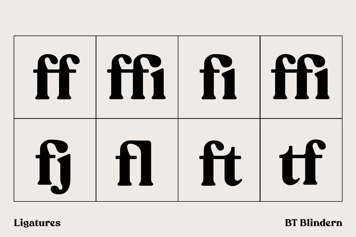 BT Blindern, a Serif Font by BadType (Photo 6 of 9)