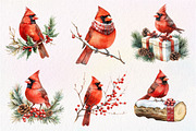 Red Cardinals Christmas Sublimation, an Illustration by Dream Creation (Thumbnail 3 of 7)