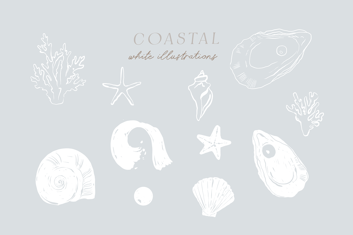 Coastal hand-painted watercolor, a Decorative Illustration by Youksy (Photo 11 of 17)