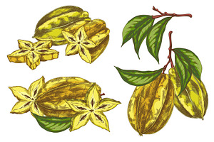 Hand drawn set of ripe yellow, a Food Illustration by Sabelskaya