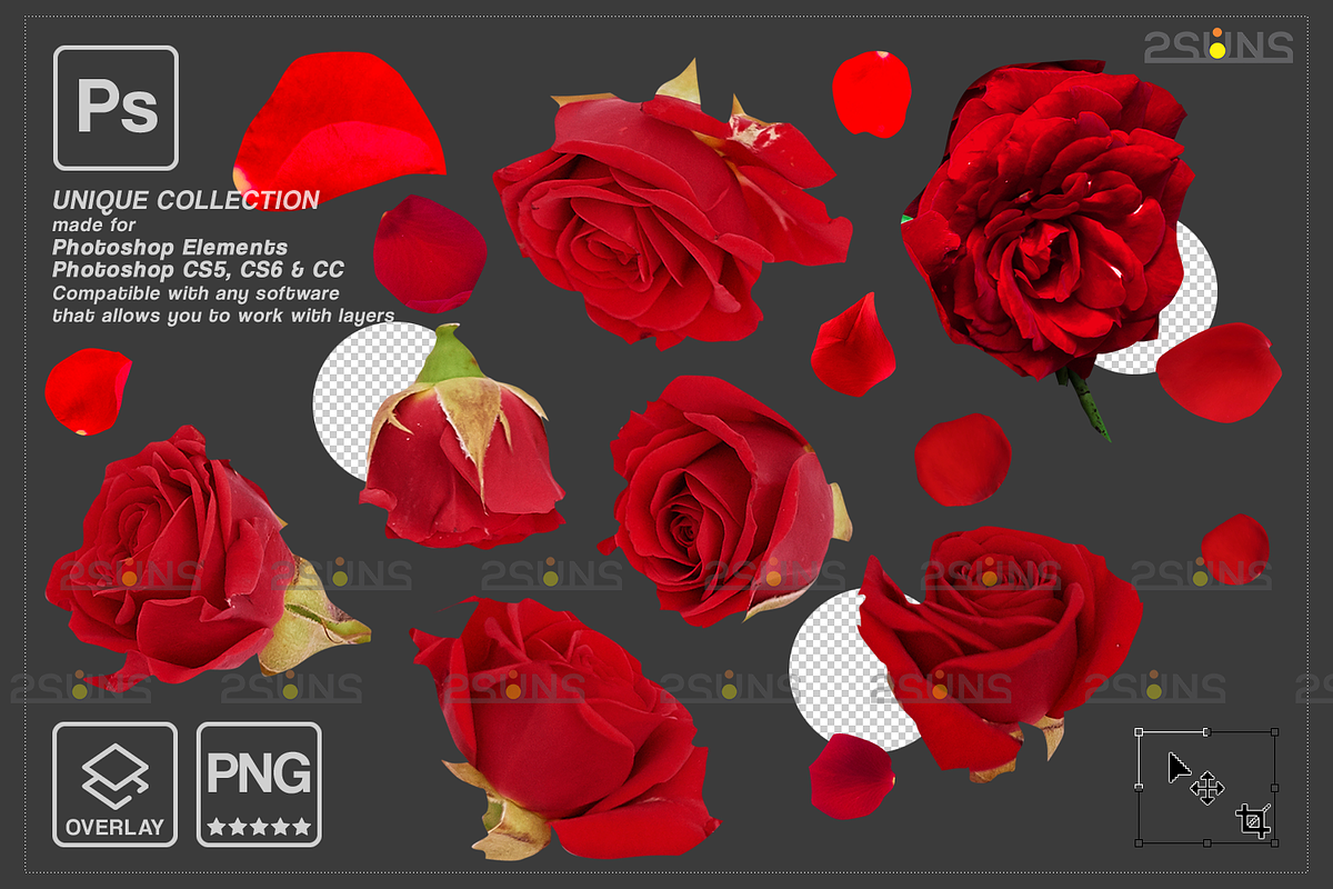 RED Rose Petals photo overlays, an Object Graphic by 2SUNS (Photo 4 of 10)