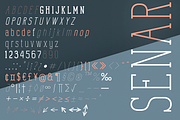 Senar, a Sans Serif Font by Larin Type Co. (Thumbnail 10 of 10)
