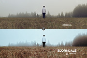 Bjorndale Presets - Desktop & Mobile, an Action Add-On by Presetrain Co. (Thumbnail 5 of 9)