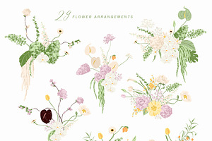 Floral Vector Illustration & Pattern