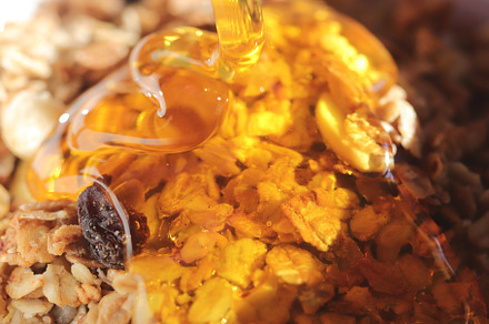 Juicy honey pours on muesli. Delicious healthy breakfast. Macro closeup., a Food & Drink Photo by Textures & Backgrounds