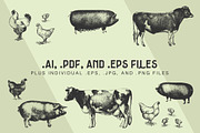 FARM ANIMALS | 13 Vectors, an Animal Illustration by Britt & Kit (Thumbnail 2 of 2)