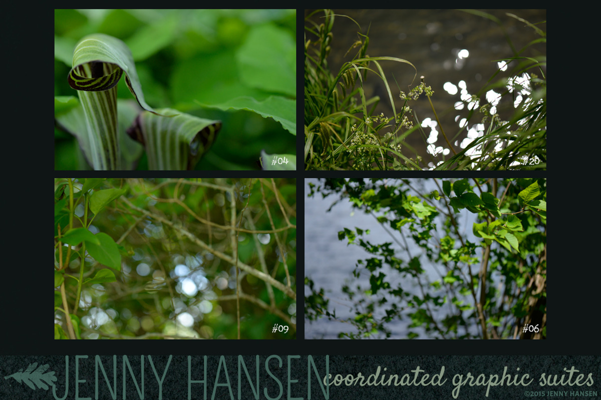 Photo Bundle: Mysterious Foliage, a Texture Graphic by Jenny Hansen Suites (Photo 3 of 5)