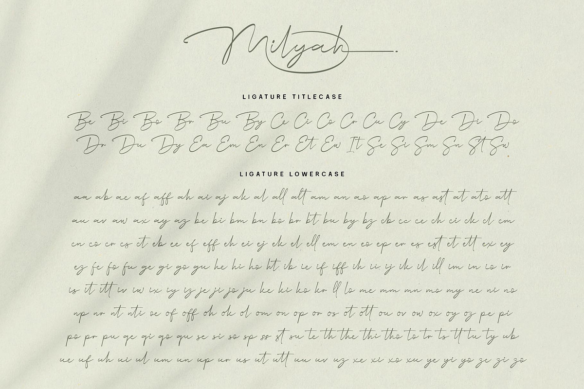 Milyah Signature Script font, a Script Font by alit design (Photo 9 of 15)