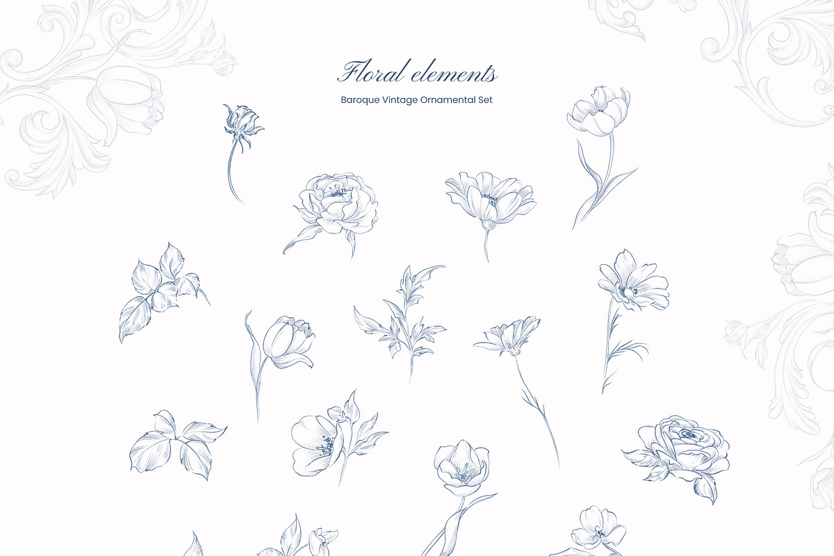 Baroque Vintage Ornamental set, a Decorative Illustration by Yuliia Lashevska (Photo 18 of 19)
