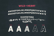 Wildheart | Font Family + Elements, a Font by Callie Rian & Co. (Thumbnail 9 of 17)