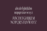 Stellar Swing - Mid Century Font, a Serif Font by HipFonts (Thumbnail 5 of 8)