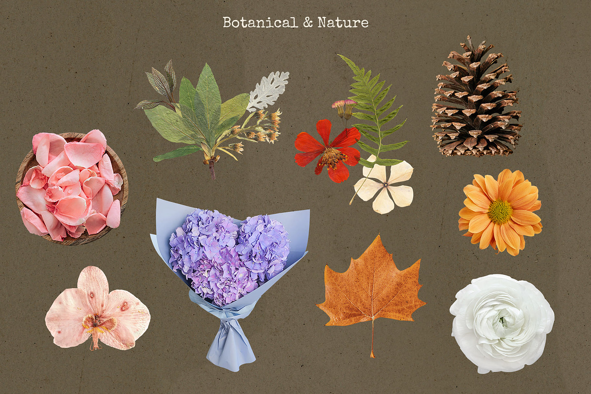 Vintage Scrapbook Collage Elements, an Object Graphic by jessicamdesign (Photo 7 of 9)