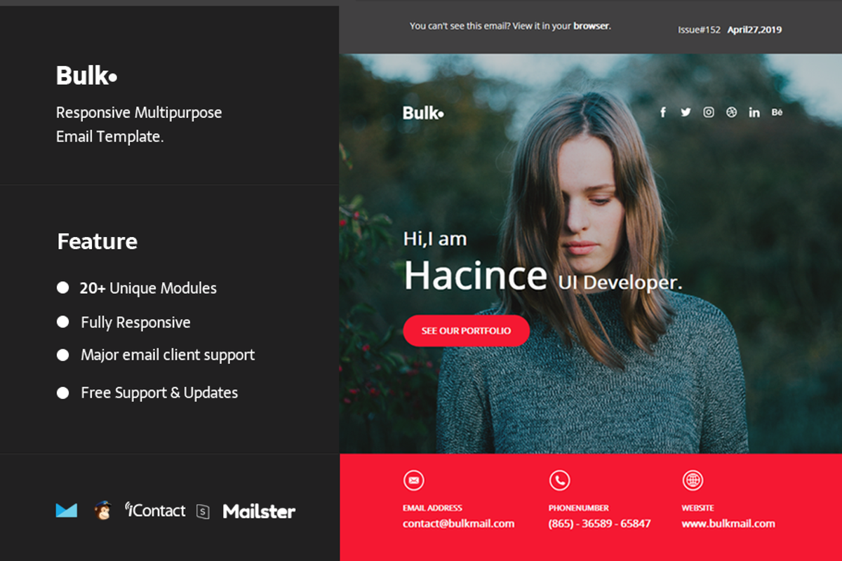 Bulk Mail - Email Template, an Email Template by williamdavidoffmail