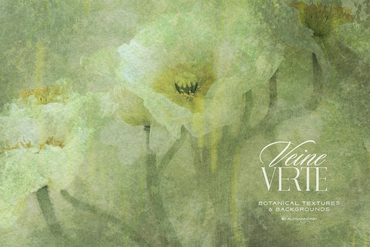 Veine Verte Botanical Backgrounds, a Background Graphic by alonahaidash (Photo 1 of 20)