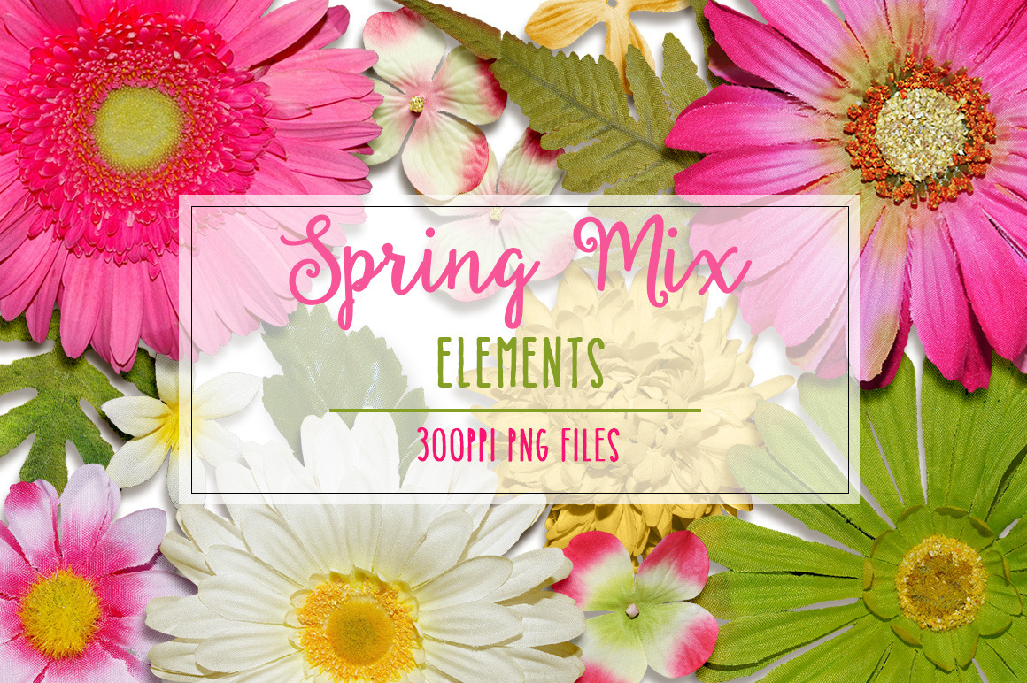 Spring Mix Elements, an Object Graphic by Studio Kitsch | Creative Market
