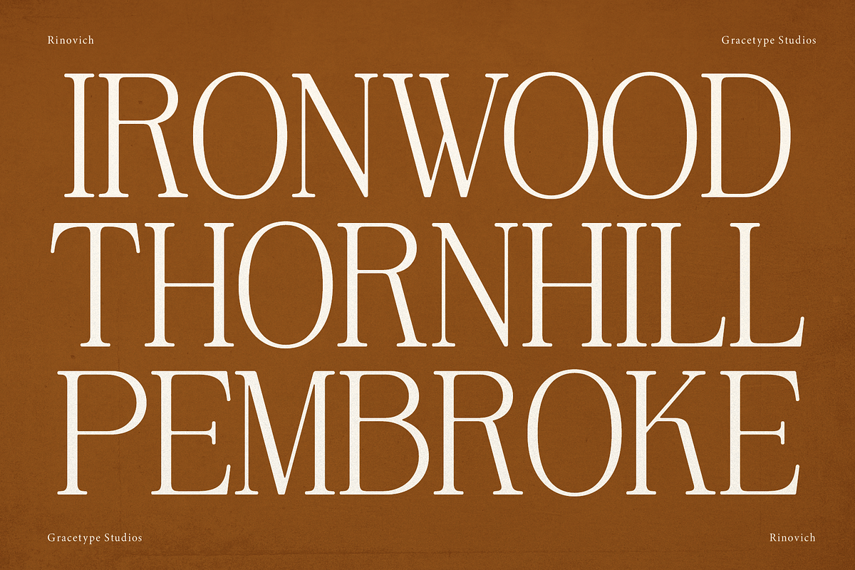 Rinovich | Display Serif Font, a Serif Font by gracetype_studio (Photo 2 of 12)