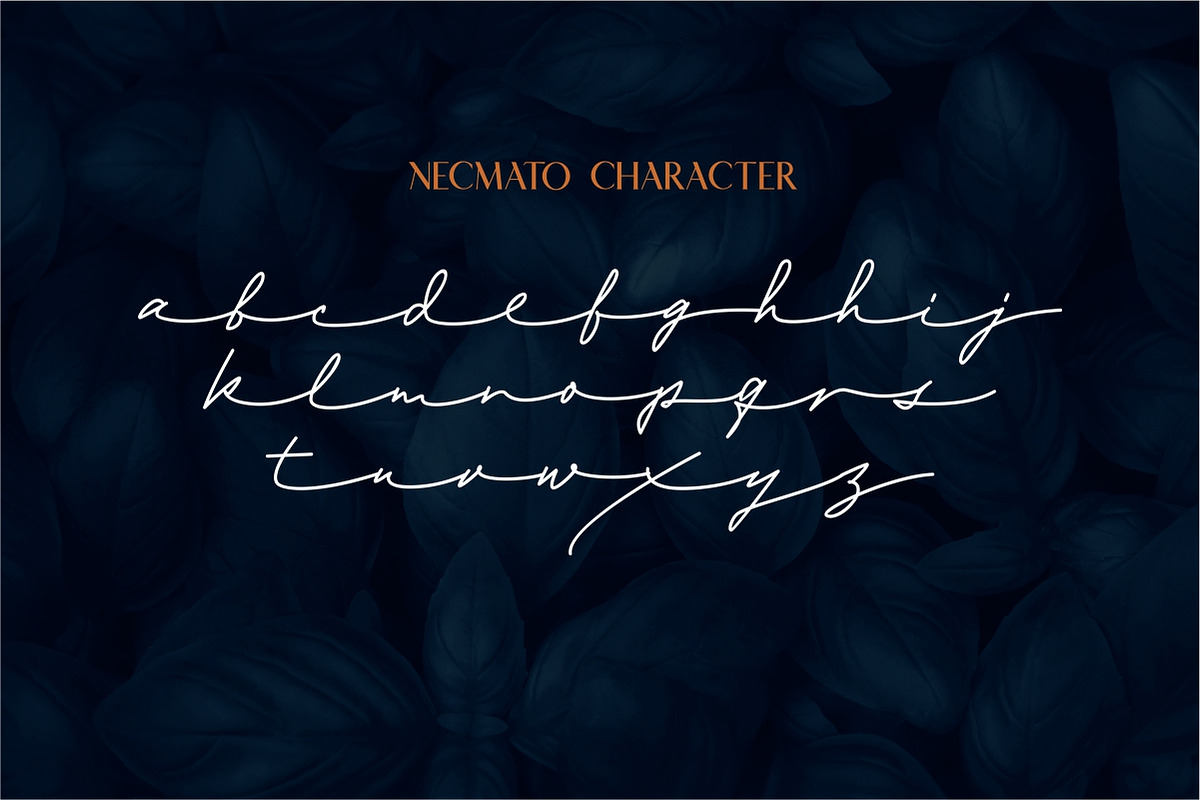 Necmato Art Deco Feel, a Serif Font by typeline studio (Photo 10 of 11)