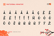 Ryukosei - Japanese Display Font, a Handwritten Font by Aksapix Studio (Thumbnail 5 of 10)
