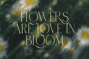 Mitra Macro Luxury Ligature Serif, a Serif Font by Graphicxell (Thumbnail 6 of 8)