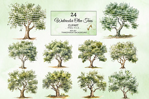 Watercolor Olive Trees Clipart