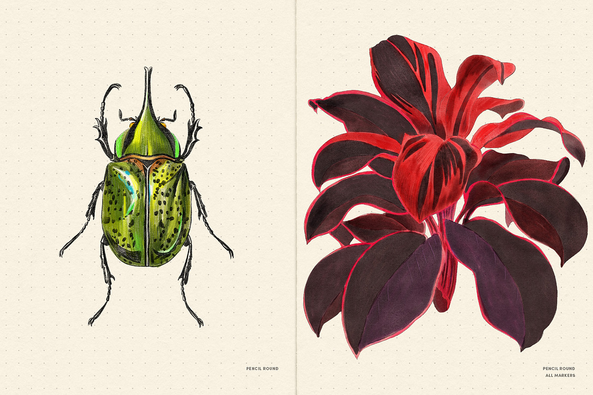 Daily Sketch – Procreate Brushes, a Brush Add-On by Sadie Lew (Photo 12 of 13)