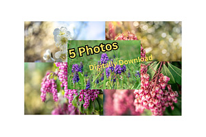 Spring Wildflower Photo Bundle – 5