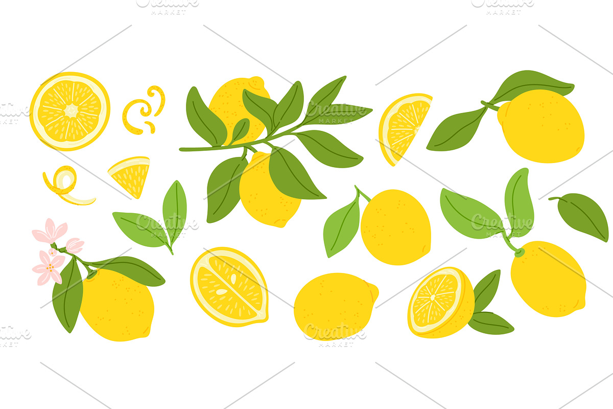 Cartoon lemons. Exotic sour juicy, a Food Illustration by Vectorbuum