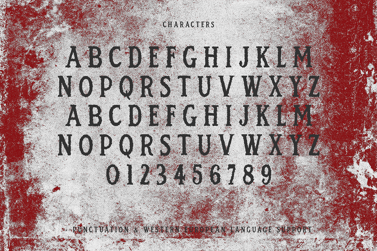 Rage Room Serif Font, a Serif Font by Beck McCormick (Photo 10 of 10)