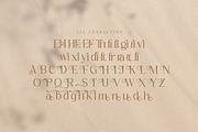 Qeraldin Stylish Modern Serif Font, a Serif Font by Storytype Studio (Thumbnail 14 of 15)