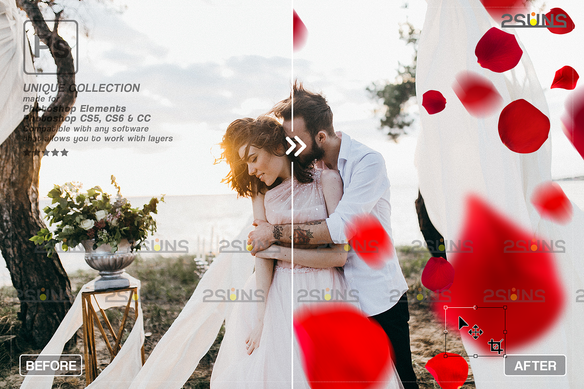 RED Rose Petals photo overlays, an Object Graphic by 2SUNS (Photo 6 of 10)