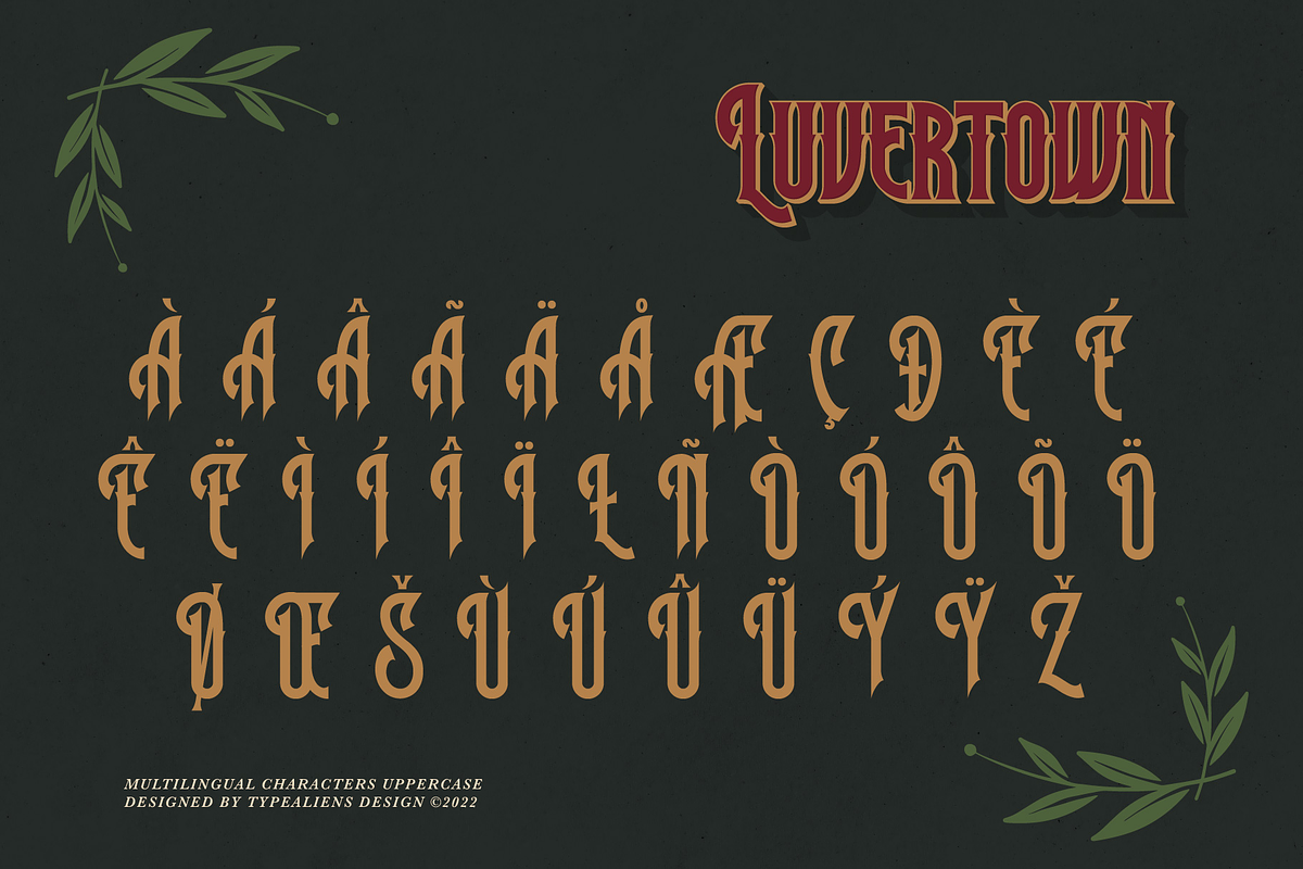 Luvertown, a Serif Font by ilhamtaro (Photo 9 of 11)
